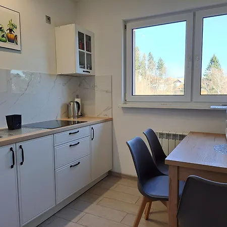 Zdrojowa 20, Διαμέρισμα Duszniki Zdrój