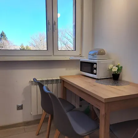 Zdrojowa 20, Διαμέρισμα Duszniki Zdrój